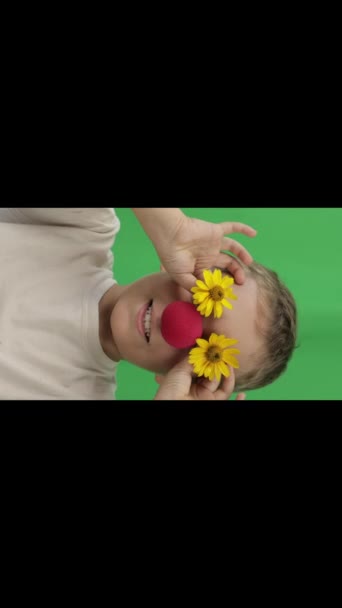 Πρόσωπο αστείου αγοριού 9 ετών με κόκκινη μύτη και κίτρινες μαργαρίτες. Πράσινο φόντο οθόνη. Κοντινό πλάνο. Υψηλής ποιότητας υλικό - Πλάνα, βίντεο