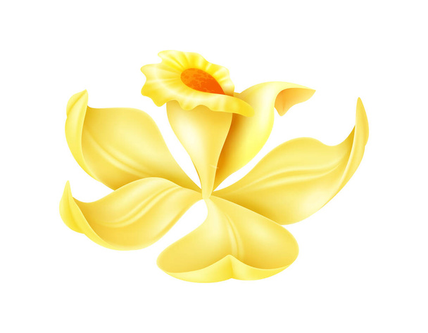 Beautiful realistic yellow vanilla flower vector illustration - Vector, Image