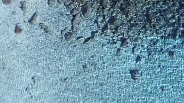 uitzicht vanuit de lucht op de kristalheldere zee van zuid Sardinië - Video