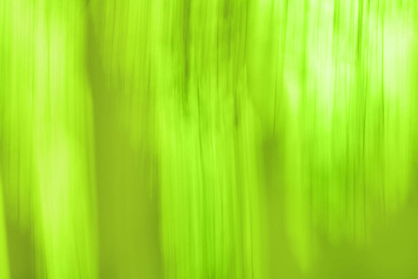 フォーカスの背景から緑のボケ。緑のオリーブブラー抽象的な背景. - 写真・画像