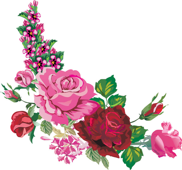 pink and red rose corner on white - Vector, Image
