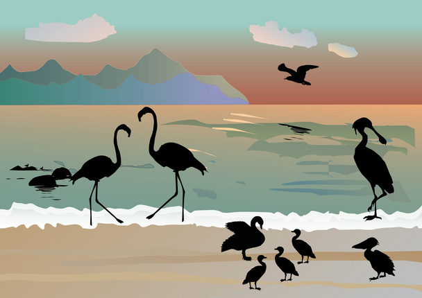 kustlijn en vogel silhouetten - Vector, afbeelding