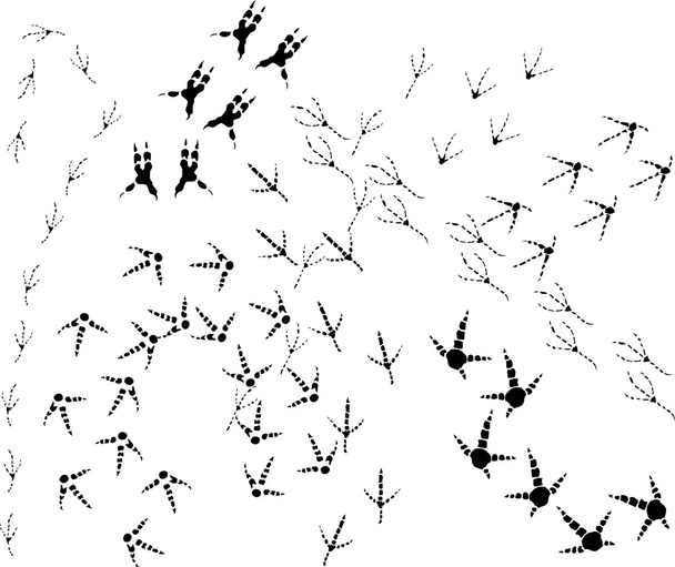 madarak zeneszámokat háttér - Vektor, kép