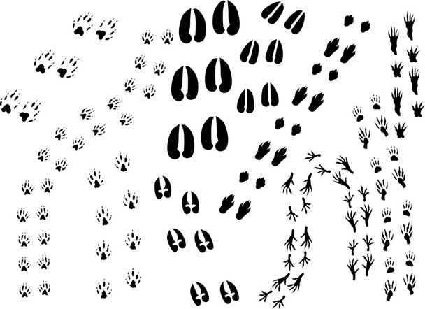 фон со следами животных
 - Вектор,изображение
