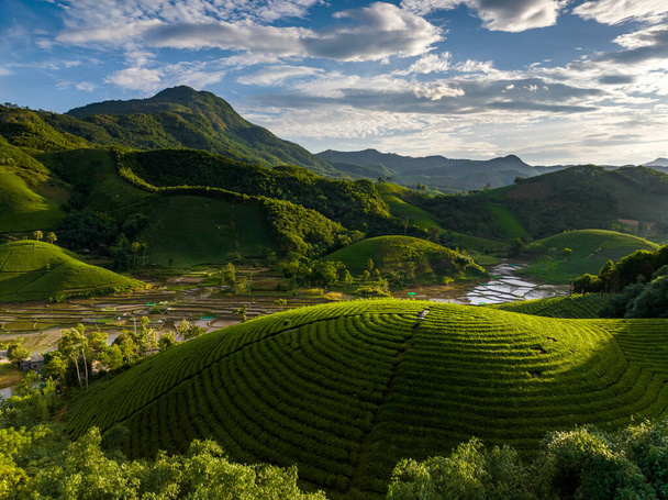 Aerial view of beatiful sunset at Long Coc tea hill, Phu Tho province, Vietnam - 写真・画像