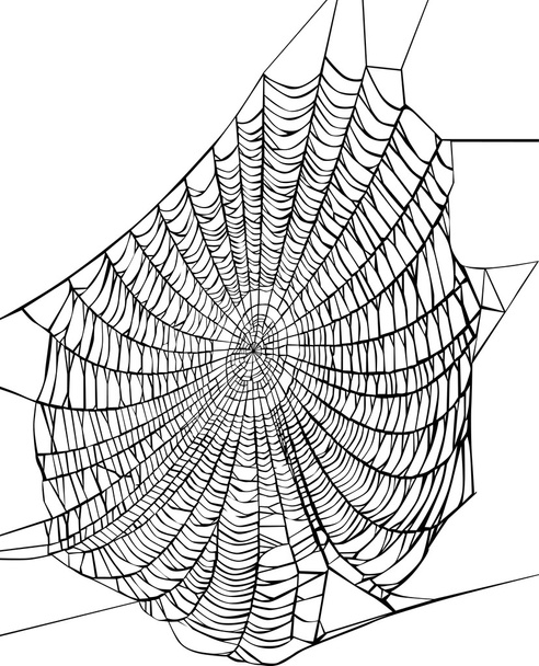 schwarzes Spinnennetz auf weißem Grund - Vektor, Bild
