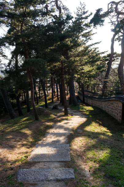 Zona forestal de Seongyojang
 - Foto, Imagen