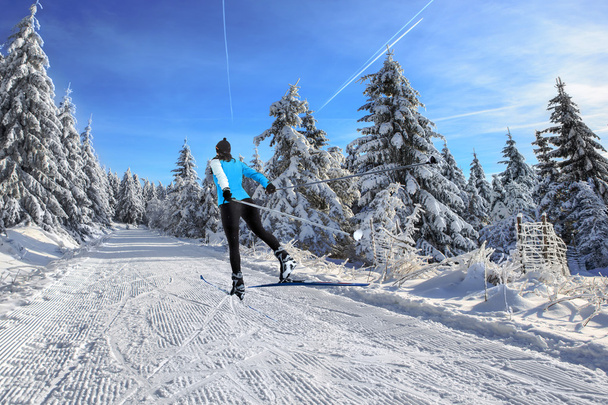 cross-country skiing - Photo, Image