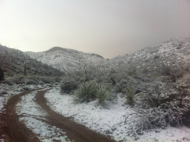 Snowy Morning op een Dirt Road in Arizona Desert Near Superior. Hoge kwaliteit foto - Foto, afbeelding