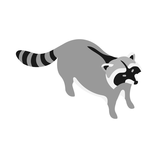 Isometrische wasbeer op witte achtergrond 3d vector illustratie - Vector, afbeelding
