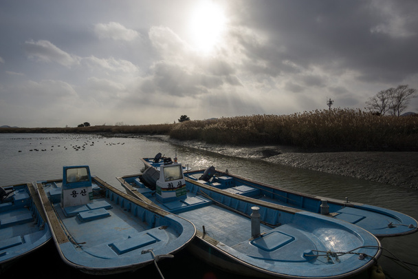 Veneet Suncheon Bayssa
 - Valokuva, kuva