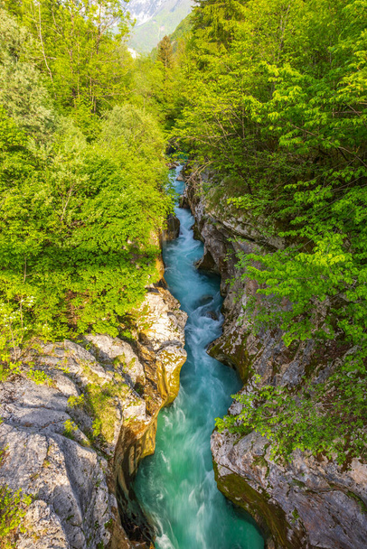 Great Soca Gorge (Velika korita Soce), Triglavski Ulusal Parkı, Slovenya - Fotoğraf, Görsel