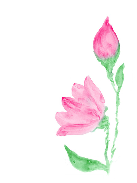 Watercolor pink flowers - Photo, image