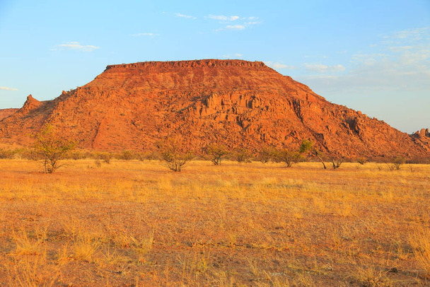 Намибийский ландшафт, красная земля и африканская растительность вокруг. Дамараленд, родина в Юго-Западной Африке, Мовани, Намибия. - Фото, изображение