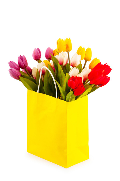 Tulips in the bag isolated on white - Foto, Bild