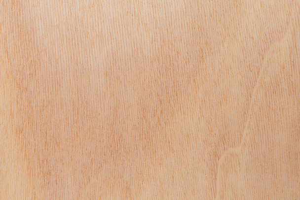 Surface de coupe légèrement rugueuse et texturée d'un arbre africain. Fond en bois ou blanc pour la conception. Une ressource graphique ou sous-couche pour le texte ou les étiquettes. - Photo, image