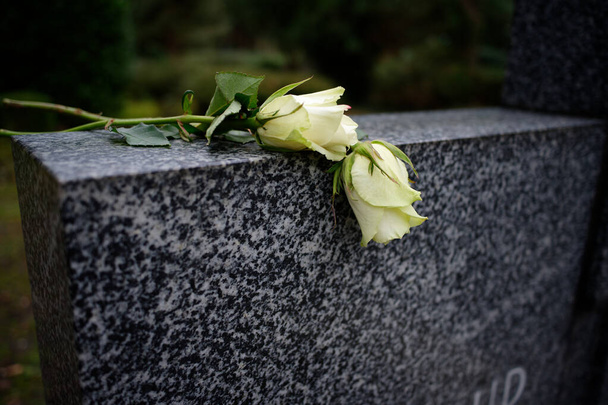 δύο λευκά τριαντάφυλλα ξαπλωμένα σε μαρμάρινο τάφο - Φωτογραφία, εικόνα