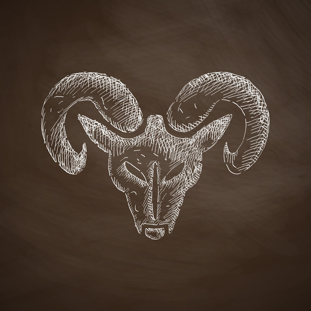 Head of the ram icon - Vector, Image