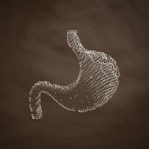 Icono del estómago
 - Vector, Imagen
