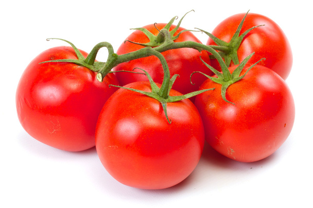 Rama de tomate aislado sobre fondo blanco
 - Foto, imagen