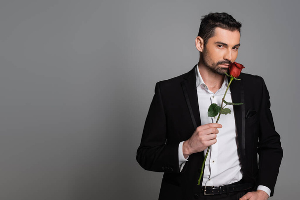 Бородатый мужчина в костюме держит красную розу и смотрит на камеру, изолированную на сером  - Фото, изображение