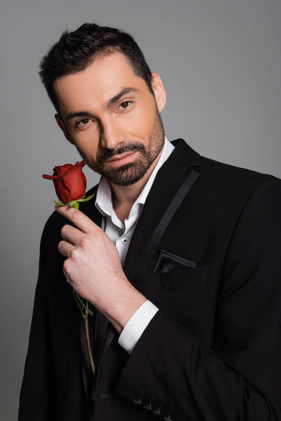 Portrait of bearded man in formal wear holding red rose isolated on grey  - Foto, imagen
