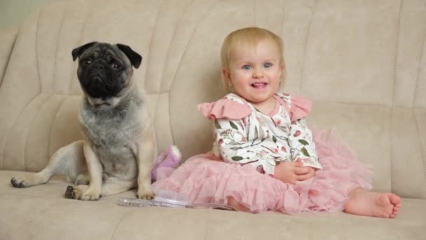 Una bambina di un anno con un vestito rosa batte le mani, si siede sul divano con un carlino, l'amicizia di bambini e cani. - Filmati, video