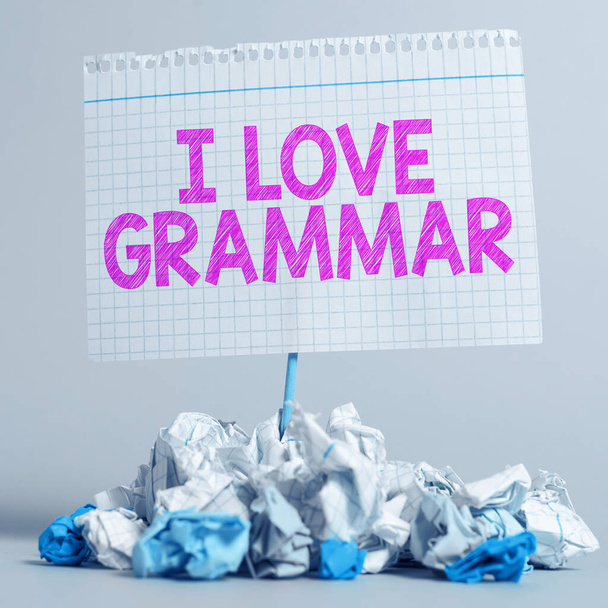 Tekst teken tonen I Love Grammatica, Concept betekenis daad van bewondering systeem en structuur van de taal - Foto, afbeelding