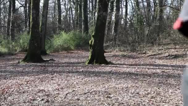 Beautiful young man is running in the woods. The man is training in the park in Italy. Concept of sport and wellness in contact with nature. - Metraje, vídeo