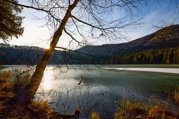 Piękny krajobraz z jeziorem St. Ana w Rumunii, jezioro wulkaniczne w grudniu. - Zdjęcie, obraz