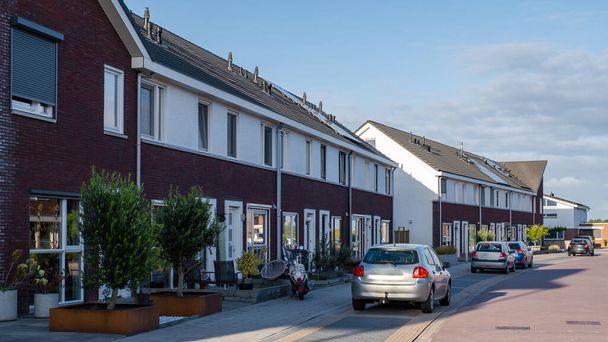 Modern aile evleri olan Hollanda Suburban bölgesi, Hollanda 'da yeni modern aile evleri, Hollanda' da yaz boyunca aile evleri - Fotoğraf, Görsel