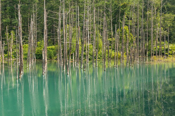 modrý rybník - Fotografie, Obrázek