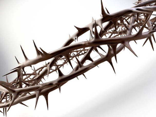 Branches of thorns woven into a crown depicting the crucifixion - 3D render - Foto, Imagen
