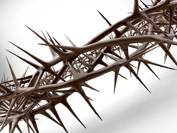 Dornenzweige, die zu einer Krone verwoben sind, die die Kreuzigung darstellt - 3D-Darstellung - Foto, Bild