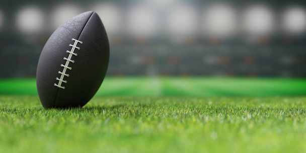 Ballon de football américain sur un terrain herbeux vert luxuriant - Photo, image