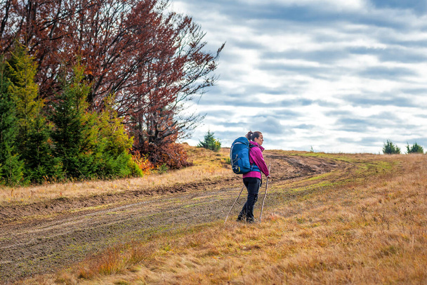 Tourist woman with backpack hiking in autumn Carpathian mountains - Foto, Imagen