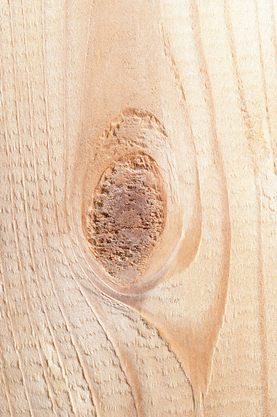 Spruce board with a branch, close-up, tendon cut, parallel to his longitudinal axis. Dried spruce wood from an European spruce tree, Picea abies, showing growth, annual or tree rings. Macro photo. - Photo, Image