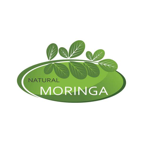 Логотип векторного символа Моринги - Вектор,изображение