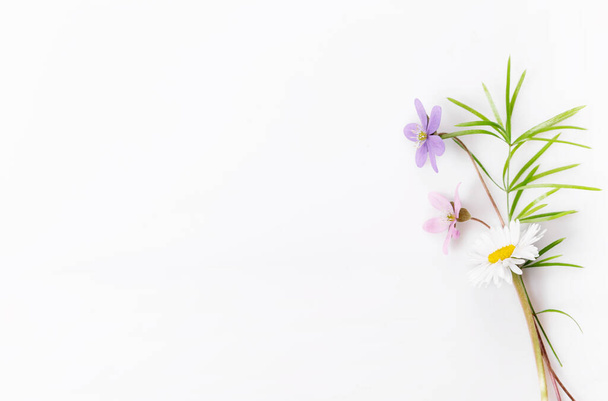Весняна рамка з дрібних квітів сніг і ромашки, квіткова композиція
 - Фото, зображення