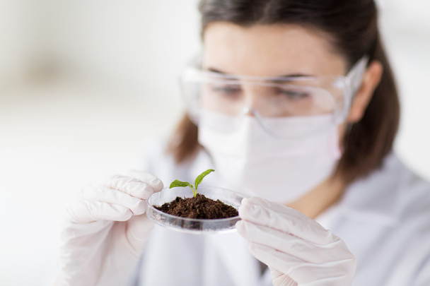 close up of scientist with plant and soil in lab - 写真・画像
