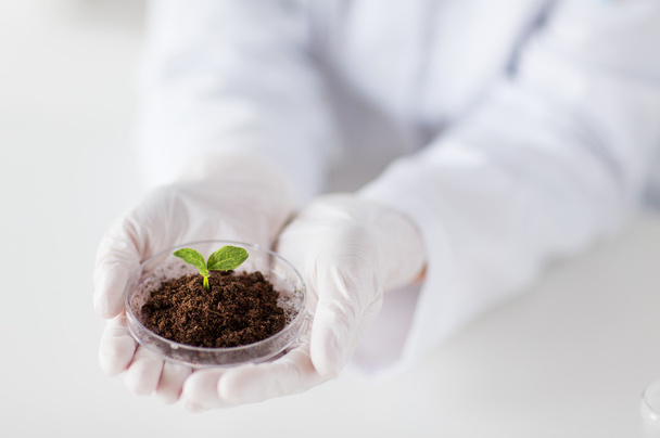 close up of scientist hands with plant and soil - Fotó, kép