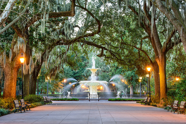 Forsyth Park v Savannah, Gruzie - Fotografie, Obrázek