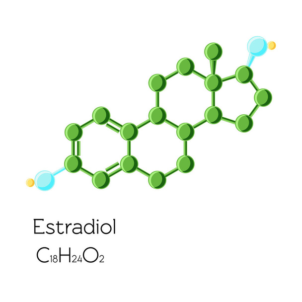 Estradioli hormoni rakenteellinen kemiallinen kaava eristetty valkoisella taustalla. Estrogeeni. Sarjakuva vektori kuva tasainen tyyli
. - Vektori, kuva