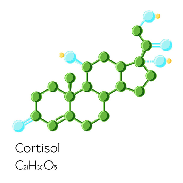 Kortizol hormon szerkezeti képlete elszigetelt fehér background. Rajzfilm vektoros illusztráció lapos stílusú. - Vektor, kép