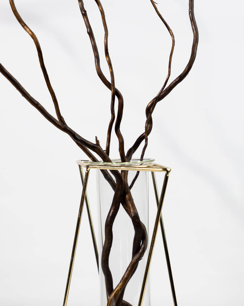 Glass vase with metallic frames with matsuda willow branches. Stylish modern interior element. White wall background. - Foto, imagen