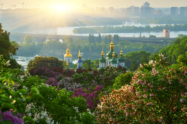 Botanical garden in Kyiv at sunrise. Amazing morning landscape with blossoming lilac, green trees, Dnieper river, city view and rising sun in colorful cloudy sky, Ukraine, Eastern Europe - Zdjęcie, obraz