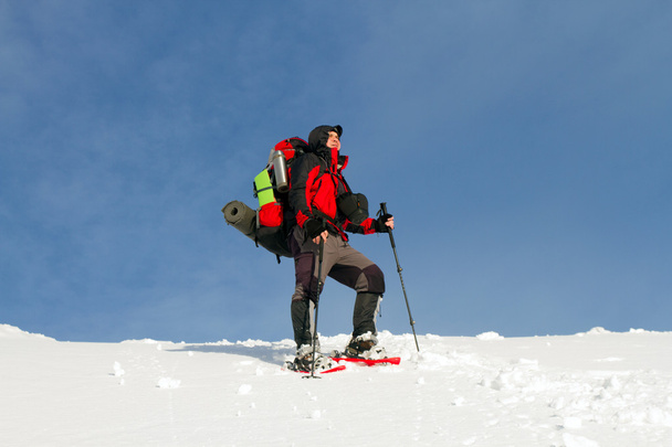 Hiker in winter mountains - Фото, зображення