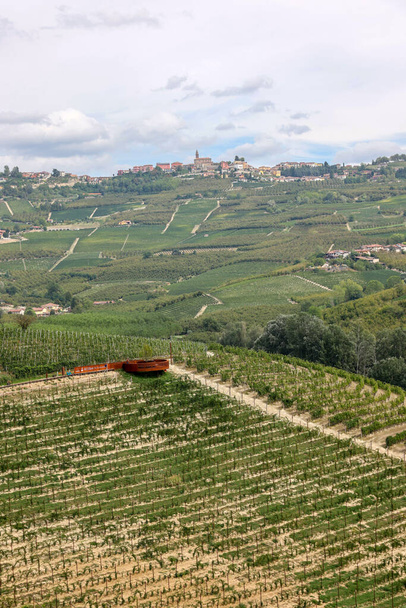 Виноградники біля Грінцане Кавур. Unesco Site, Piedmont, Italy - Фото, зображення