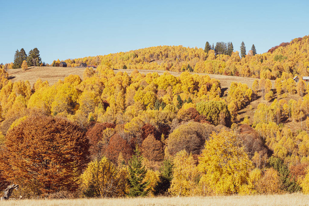 Romanya dağlarındaki güzel sonbahar manzaraları, Fantanele köyü bölgesi, Sibiu ilçesi, Cindrel dağları, Romanya - Fotoğraf, Görsel