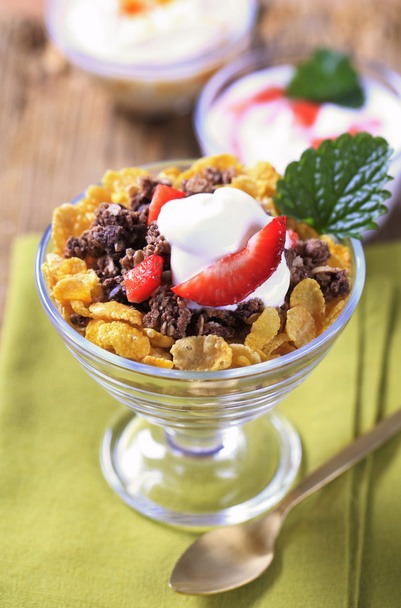 Cereales de desayuno con yogur
 - Foto, imagen